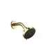DORNBRACHT-Kopfbrause-SERIENSPEZIFISCH-28505979-Messing-gebuerstet-23kt-Gold-28505979-28 gallery number 1
